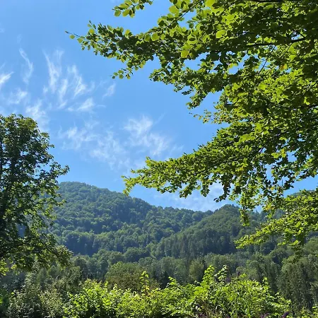 Johannsen Haus Elisabeth * Aschau im Chiemgau